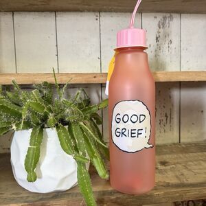 Peanuts 2024 New With Tags Water Bottle MyTagAlongs 27oz